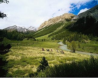 传暴雪正开发《星际争霸3》