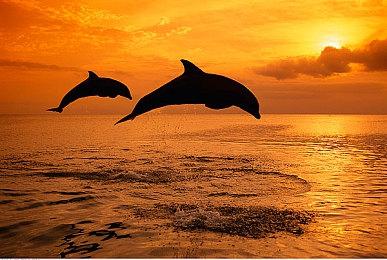 《罪恶装备：Strive》宣布第三季大规模更新 2023年夏季发布